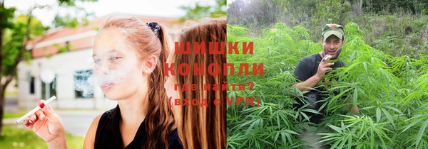 СК Надым