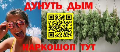 PSILOCYBIN Камышлов